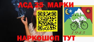 мдпв Будённовск