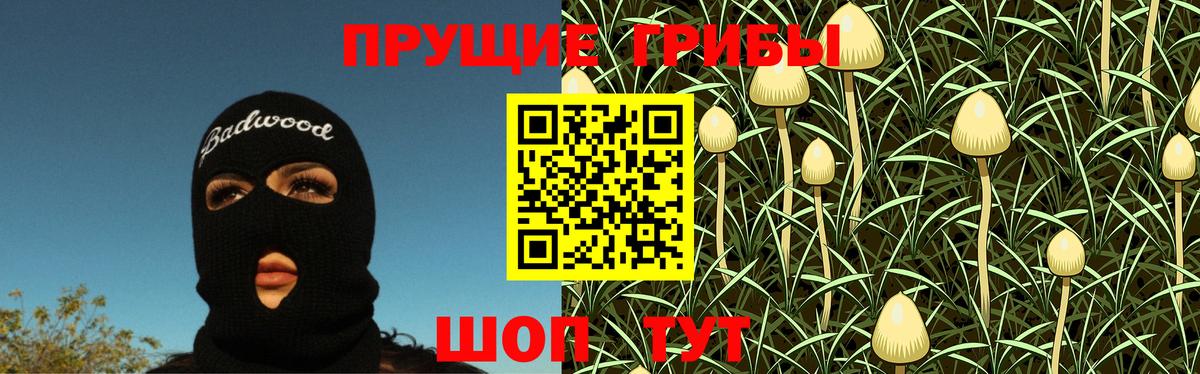 Галлюциногенные грибы Psilocybine cubensis Лиски