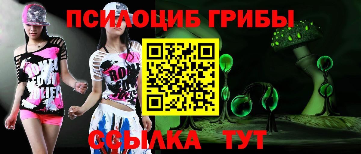 Псилоцибиновые грибы Psilocybine cubensis  Вход с VPN  Лиски 